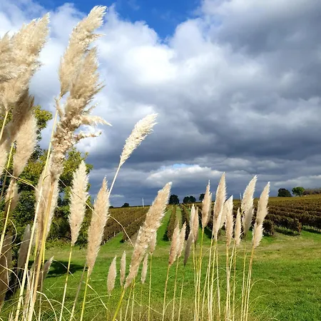 Les Sources Du Vignoble Pomport