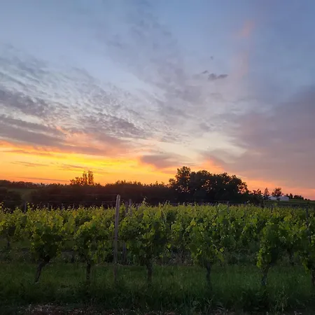 לינה וארוחת בוקר Les Sources Du Vignoble